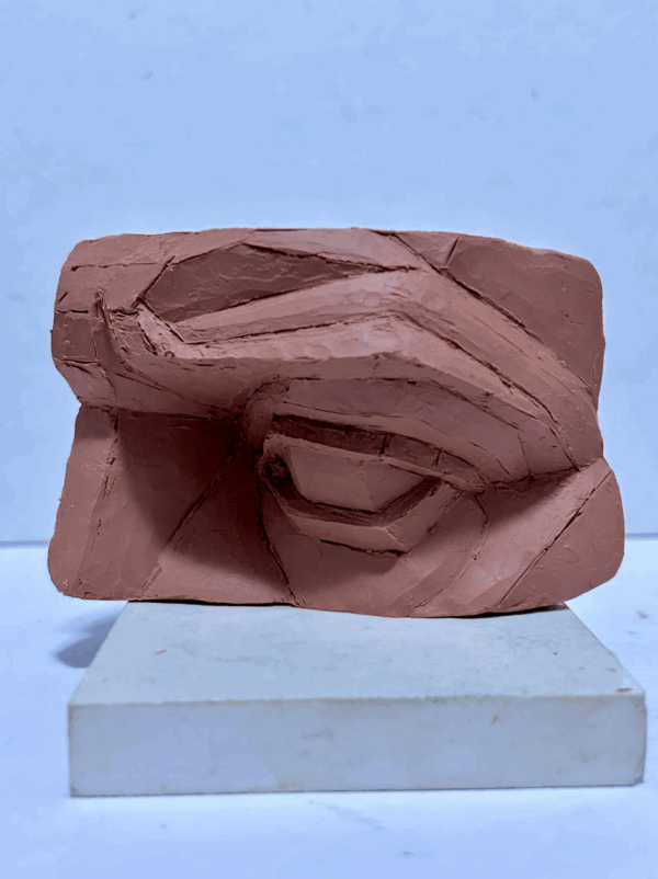Plane Deconstruction (The Face) with Jorge Vascano – Fall 2025 - Image 2